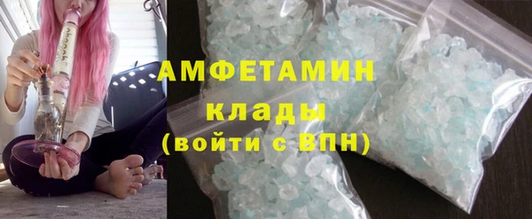 гидра Аркадак