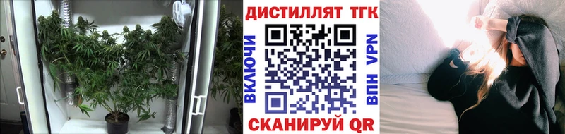 Дистиллят ТГК гашишное масло Орлов