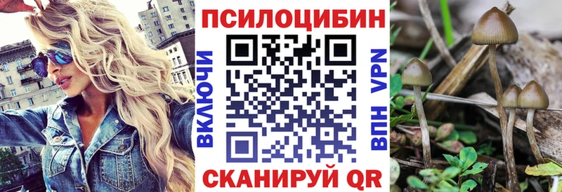 Галлюциногенные грибы Cubensis  Орлов 